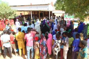 Illela (Tahoua), Sensibilisation et installation des comités de collecte des 100 F