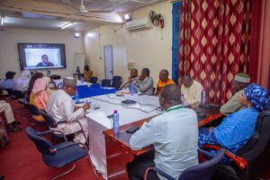 Webinaire FSSP–HCNE : une mobilisation exceptionnelle de la diaspora nigérienne autour de la solidarité nationale